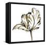 Tulip Sketch III-Ethan Harper-Framed Stretched Canvas