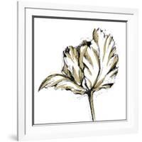 Tulip Sketch III-Ethan Harper-Framed Art Print