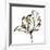 Tulip Sketch III-Ethan Harper-Framed Art Print