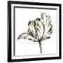 Tulip Sketch III-Ethan Harper-Framed Art Print