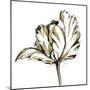 Tulip Sketch III-Ethan Harper-Mounted Art Print