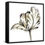 Tulip Sketch III-Ethan Harper-Framed Stretched Canvas