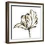 Tulip Sketch III-Ethan Harper-Framed Art Print