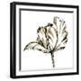 Tulip Sketch III-Ethan Harper-Framed Art Print