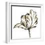 Tulip Sketch III-Ethan Harper-Framed Art Print