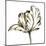 Tulip Sketch III-Ethan Harper-Mounted Art Print