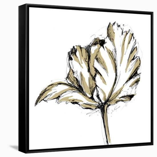 Tulip Sketch III-Ethan Harper-Framed Stretched Canvas