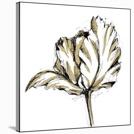 Tulip Sketch III-Ethan Harper-Stretched Canvas