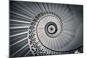 Tulip Staircase-null-Mounted Art Print