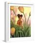 Tulip Sunrise-Dalliann-Framed Giclee Print