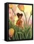 Tulip Sunrise-Dalliann-Framed Stretched Canvas