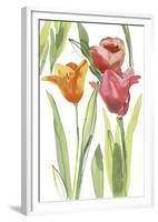 Tulip Symphony I-Sandra Jacobs-Framed Giclee Print