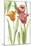 Tulip Symphony I-Sandra Jacobs-Mounted Giclee Print