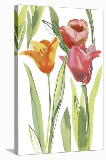 Tulip Symphony I-Sandra Jacobs-Stretched Canvas