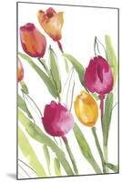 Tulip Symphony III-Sandra Jacobs-Mounted Giclee Print