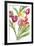 Tulip Symphony IV-Sandra Jacobs-Framed Giclee Print