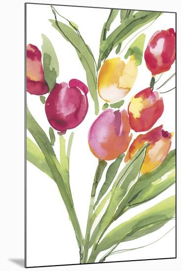 Tulip Symphony IV-Sandra Jacobs-Mounted Giclee Print