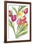 Tulip Symphony IV-Sandra Jacobs-Framed Giclee Print