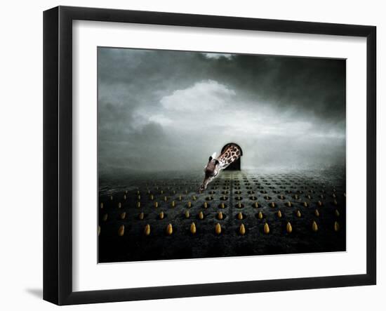 Tulip Thief 2, 2013-Johan Lilja-Framed Giclee Print