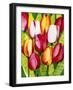 Tulip Time-Mary Russel-Framed Giclee Print