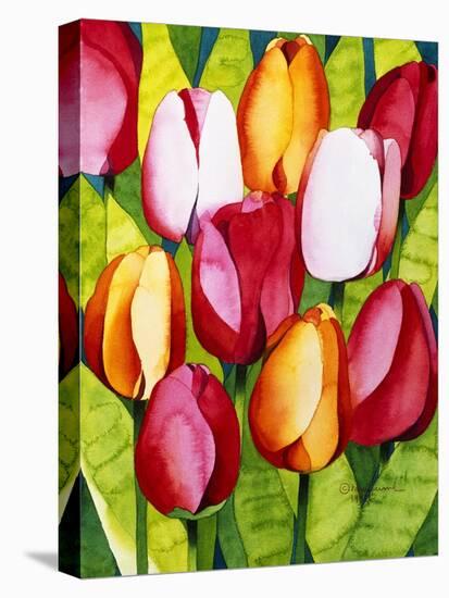 Tulip Time-Mary Russel-Stretched Canvas