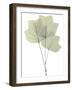 Tulip Tree E118-Albert Koetsier-Framed Photographic Print
