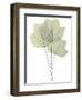 Tulip Tree E118-Albert Koetsier-Framed Photographic Print