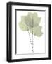 Tulip Tree E118-Albert Koetsier-Framed Photographic Print