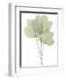 Tulip Tree E118-Albert Koetsier-Framed Photographic Print