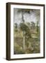 Tulip Tree, Greenwich-John Henry Twachtman-Framed Giclee Print