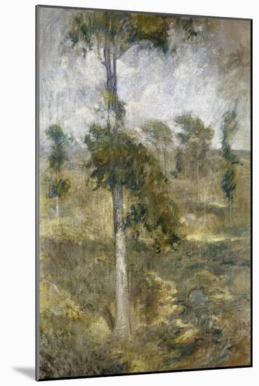 Tulip Tree, Greenwich-John Henry Twachtman-Mounted Giclee Print