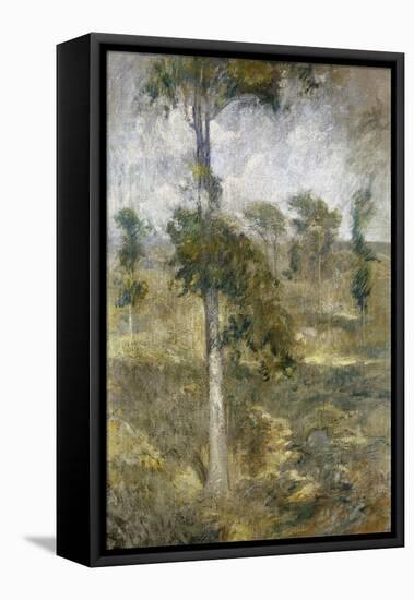 Tulip Tree, Greenwich-John Henry Twachtman-Framed Stretched Canvas