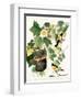 Tulip Tree Liriodendron tulipifera, from Birds of America, 1827-John James Audubon-Framed Giclee Print