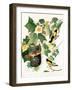 Tulip Tree Liriodendron tulipifera, from Birds of America, 1827-John James Audubon-Framed Giclee Print