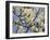 Tulip Treer-George Johnson-Framed Photographic Print