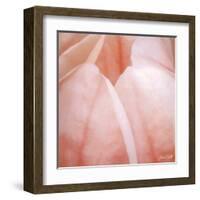 Tulip Trio I-Gabriel Scott-Framed Art Print