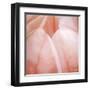 Tulip Trio I-Gabriel Scott-Framed Art Print