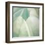 Tulip Trio II-Gabriel Scott-Framed Art Print