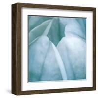 Tulip Trio III-Gabriel Scott-Framed Art Print