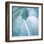 Tulip Trio III-Gabriel Scott-Framed Art Print