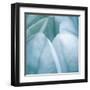 Tulip Trio III-Gabriel Scott-Framed Art Print