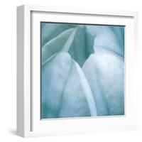 Tulip Trio III-Gabriel Scott-Framed Art Print