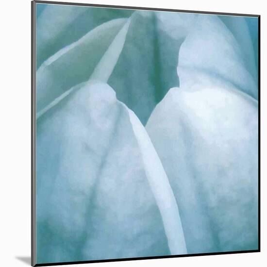 Tulip Trio III-Gabriel Scott-Mounted Art Print