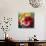 Tulip Trio-Elizabeth Horning-Giclee Print displayed on a wall