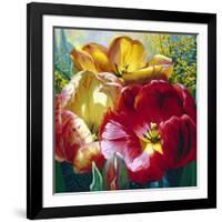 Tulip Trio-Elizabeth Horning-Framed Giclee Print