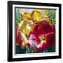 Tulip Trio-Elizabeth Horning-Framed Giclee Print