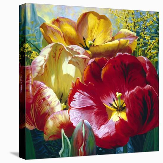 Tulip Trio-Elizabeth Horning-Stretched Canvas