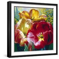 Tulip Trio-Elizabeth Horning-Framed Giclee Print