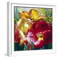 Tulip Trio-Elizabeth Horning-Framed Giclee Print