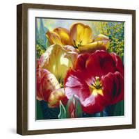 Tulip Trio-Elizabeth Horning-Framed Giclee Print